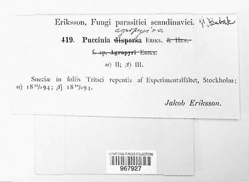 Puccinia agropyrina image